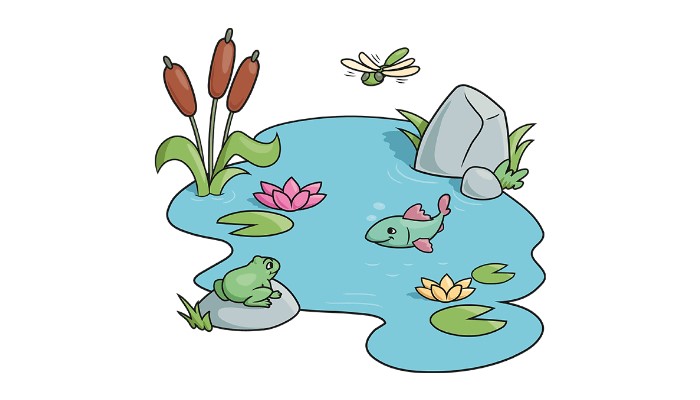 How to Draw a Pond