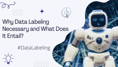 Data Labeling