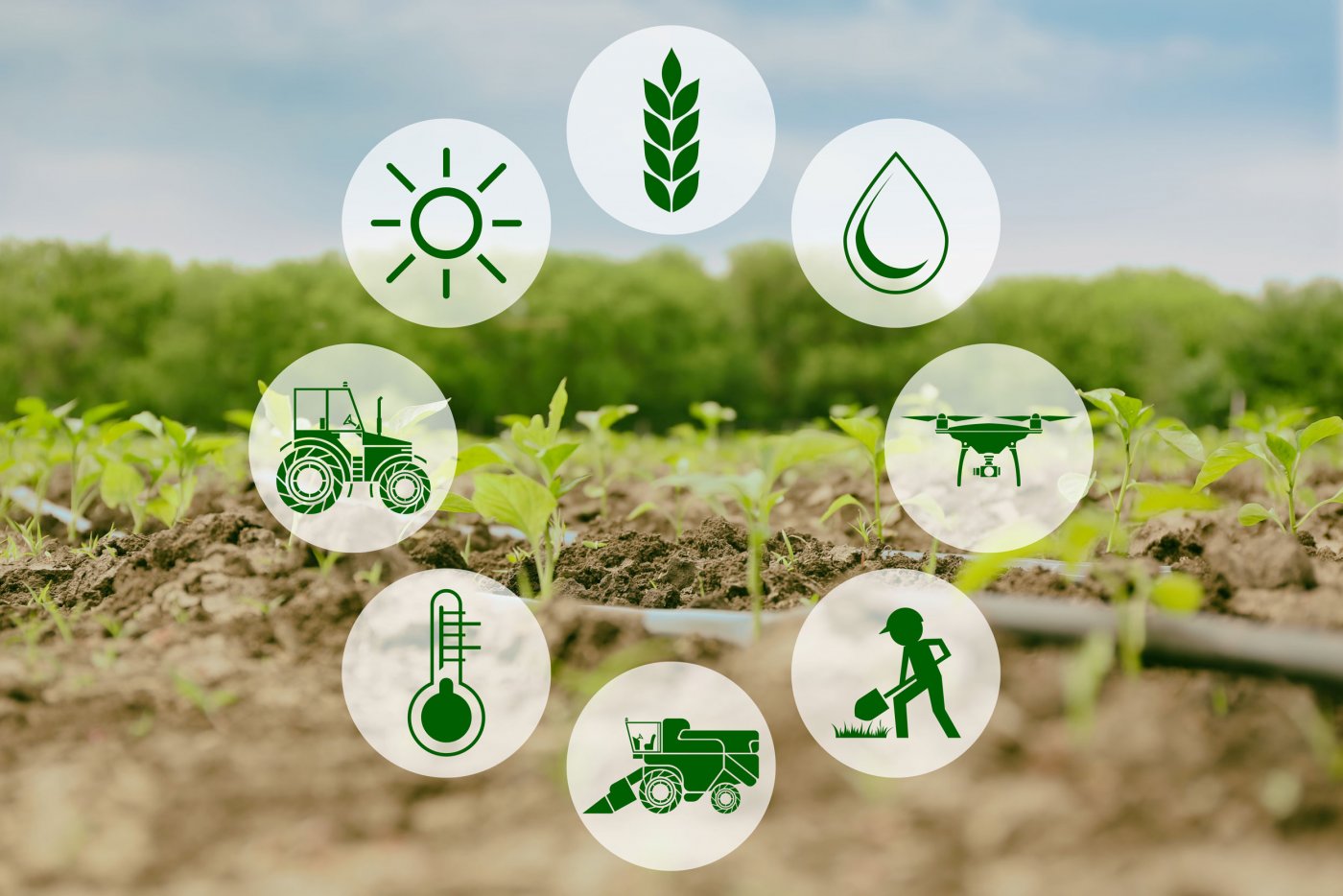 Agricultural Technology Top 5 Agricultural Technologies in India