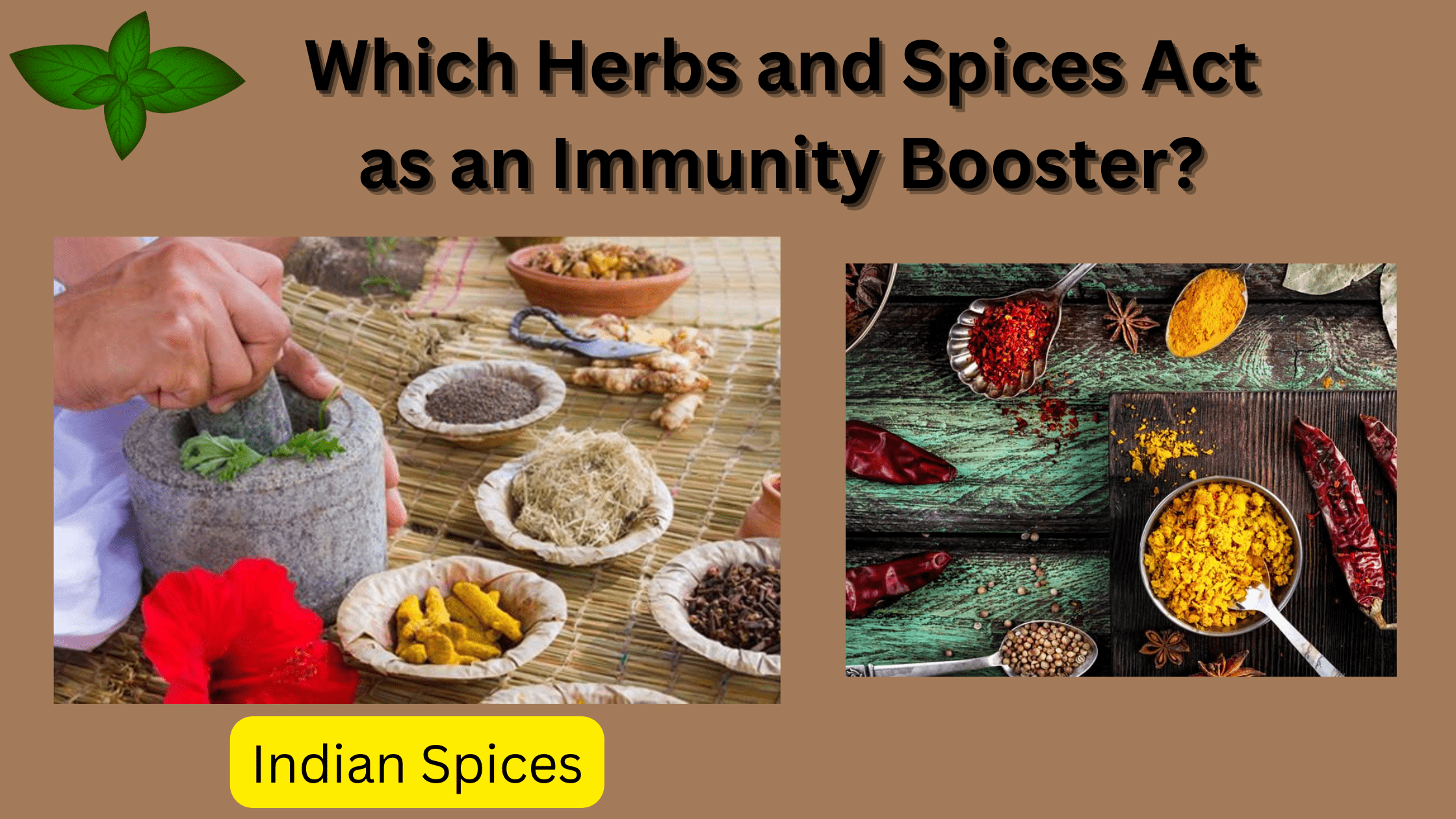 Spices Supplier in India